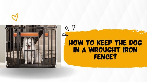 You are currently viewing How to keep the dog in a wrought iron fence?