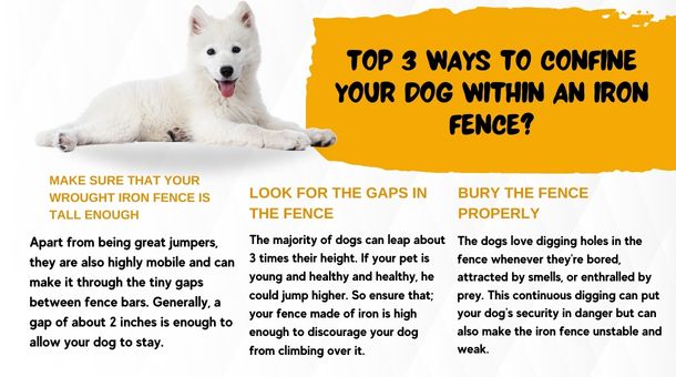 Top 3 ways to confine your dog within an iron fence?