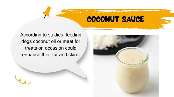 Coconut Sauce