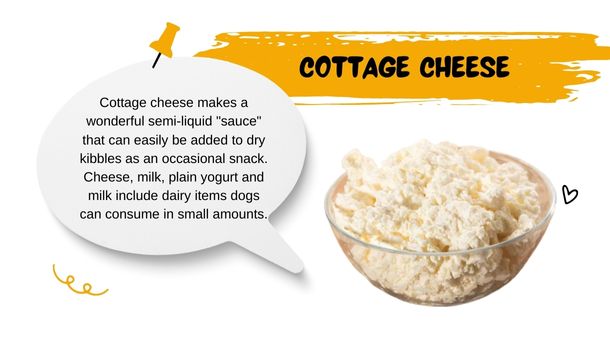 Cottage Cheese Sauce