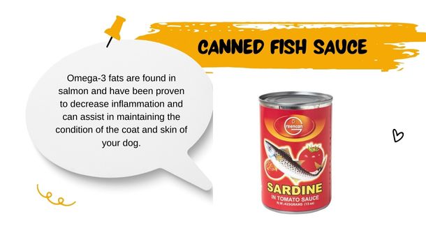 Canned Fish Sauce