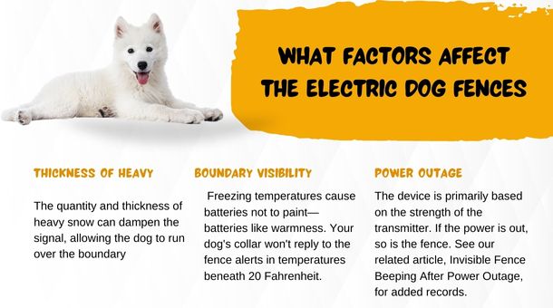 What Factors Affect the electric dog fences in Winter?