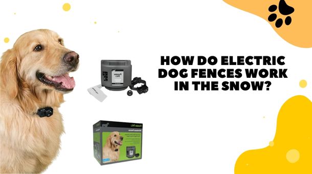 Read more about the article How do electric dog fences work in the snow?