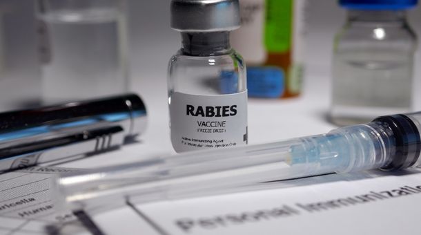 Read more about the article What is the Cost of a Rabies Vaccine for Puppies?