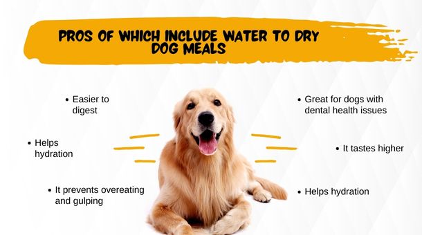 Pros of which include water to dry dog meals