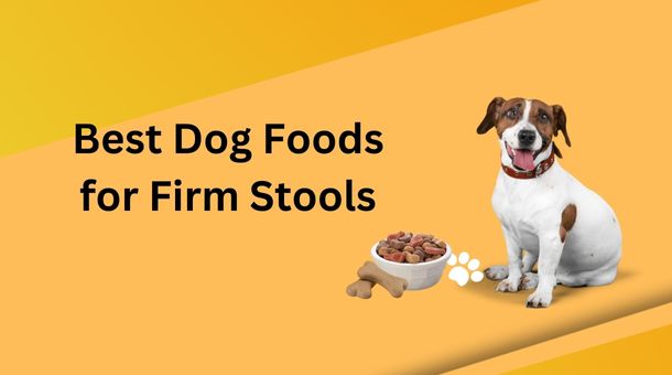 Read more about the article What is the Best Dog Foods for Firm Stools?