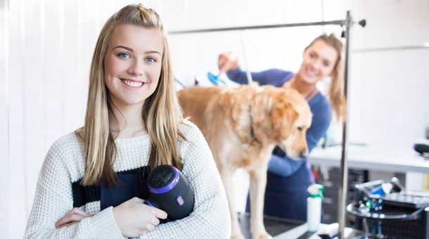 Read more about the article How to Hire a Dog Groomer?