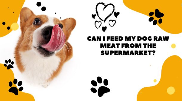 Read more about the article Can I feed My Dog Raw Meat from the Supermarket?