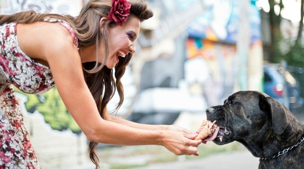 What Happens If a Dog Eats Mint Ice Cream?