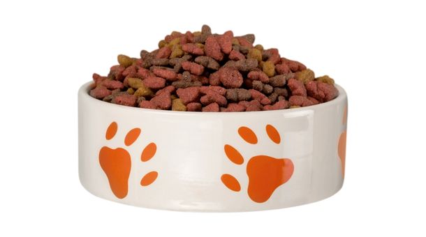 What ingredient in dry dog food causes diarrhea?