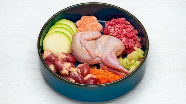 Read more about the article Dog Raw Food: Every Thing you need to know 