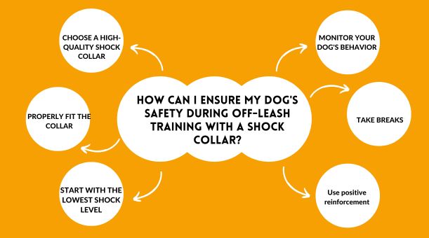 How can I ensure my dog's safety during off-leash training with a shock collar?