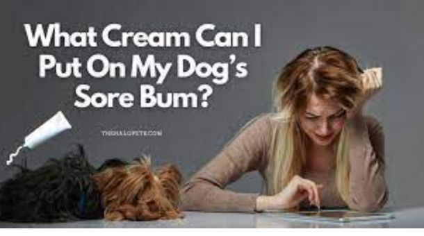 What cream can I put on my dog's sore bum?