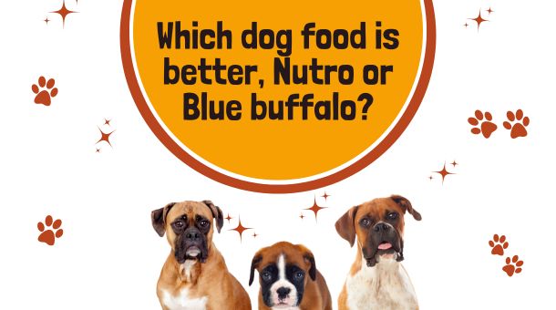 You are currently viewing Which Dog food is Better, Nutro or Blue Buffalo?