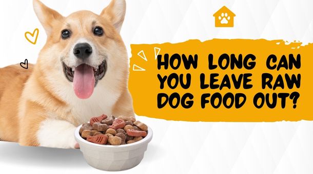 Read more about the article How long Can you Leave Raw Dog Food Out?