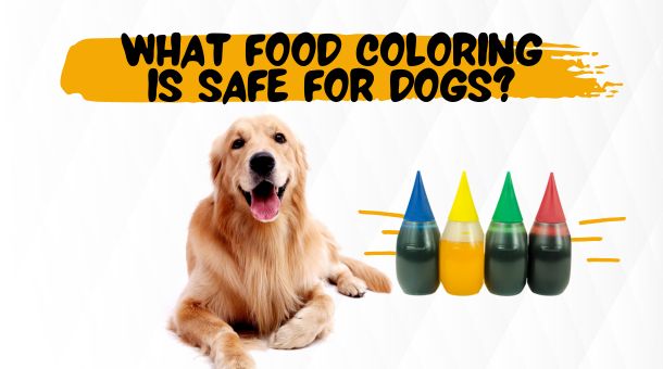 Read more about the article What Food Coloring Is Safe for Dogs?