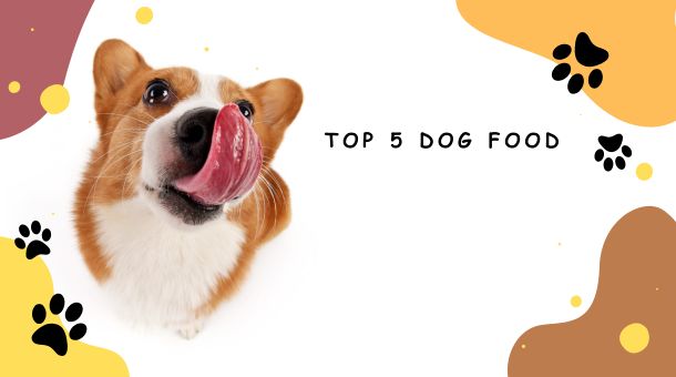 top-5-dog-food-petshopak