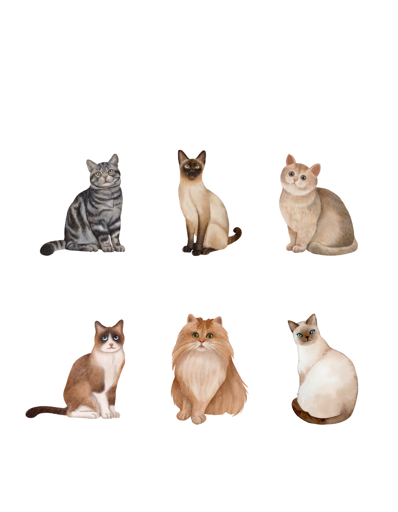 You are currently viewing A Comprehensive Guide to Cat Breeds: Exploring Feline Diversity